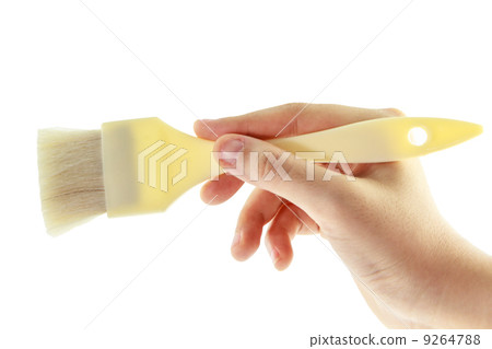 woman hand with a brush isolated 9264788