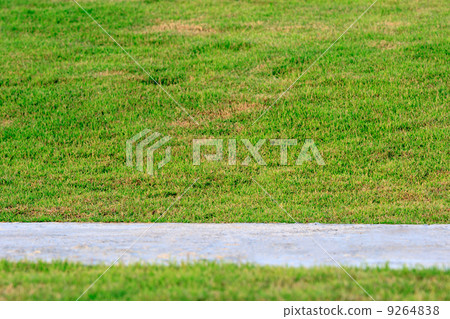 road on gardenfield 9264838