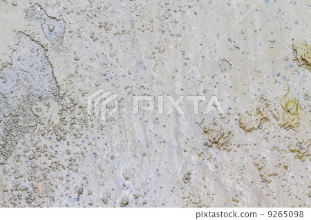 Close up of mud in a marsh 9265098