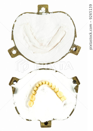 make denture plaster model make denture plaster model 9265139
