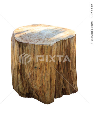 Stump isolate on white background Stump isolate on white background 9265336