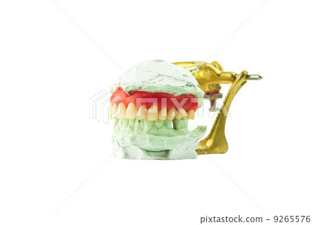 dental wax model with jaw2 9265576