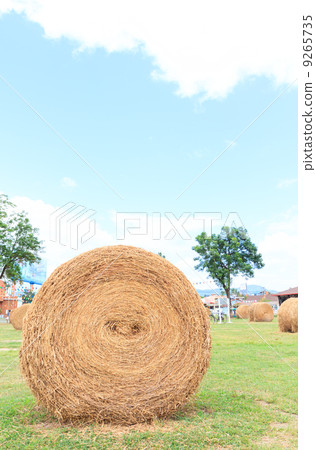 big hay bale rolls in a lush green field and blue sky big hay bale rolls in a lush green field and blue sky 9265735