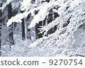 雪化妝 9270754