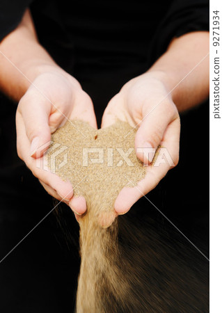 Time runs loss lost 9271934