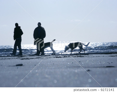 couple beach dogs walking 9272141