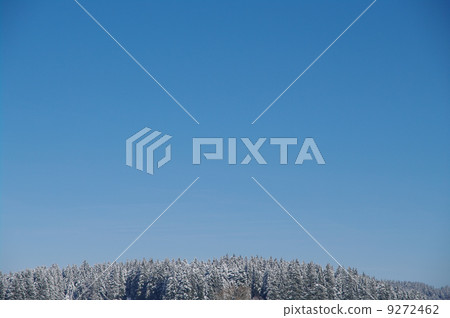 Beautiful winter landscape 9272462