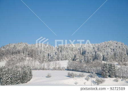 Winter Winter 9272589