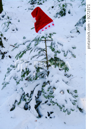 Santa Claus Hat on snowy fir Santa Claus Hat on snowy fir 9272871