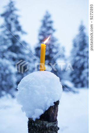 Yellow Candles In Snow 9272893