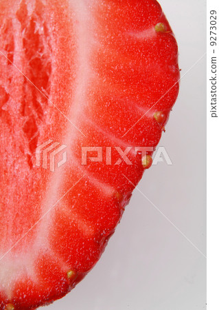Strawberry Strawberry 9273029