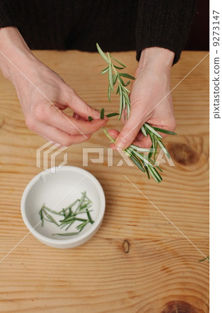 Bouquet Garni 9273147