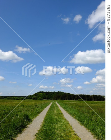 beautiful summer landscape beautiful summer landscape 9273265