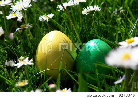 easter easter 9273346