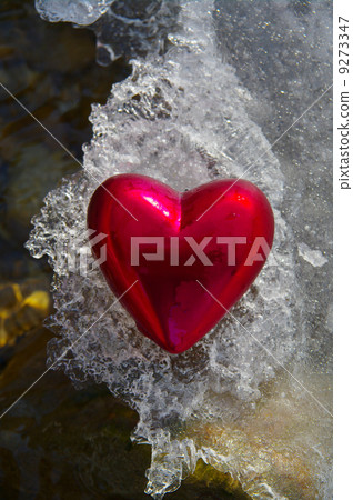 frozen love frozen love 9273347