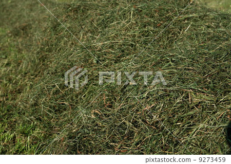 hay landscape hay landscape 9273459