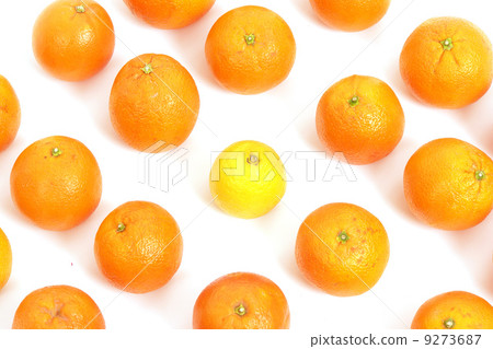 Lemon and Orange matrix Lemon and Orange matrix 9273687