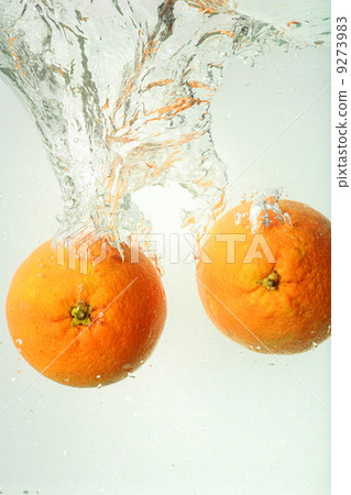 oranges water splash fresh drop oranges water splash fresh drop 9273983