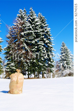 Christmas Santa Claus bag outside in winter landscape 9274315