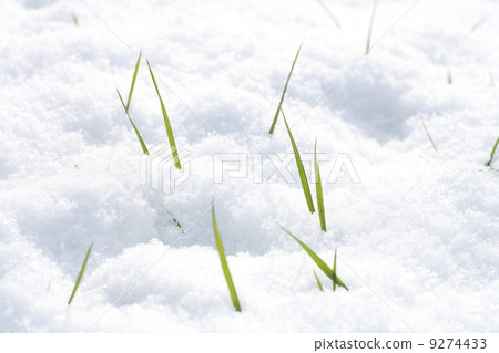 Winter Winter 9274433