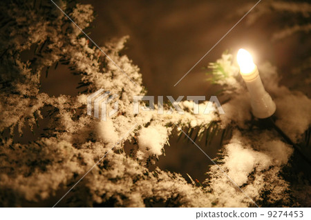 Christmas tree outside with candle lights Christmas tree outside with candle lights 9274453