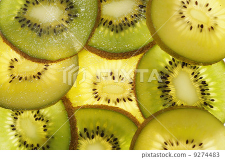 kiwi 9274483