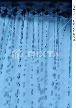 Shower 9274529