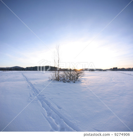Winter 9274906