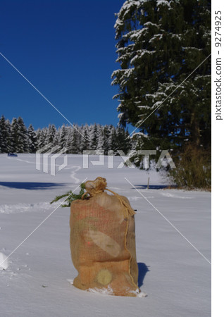 Santa Claus bag 9274925