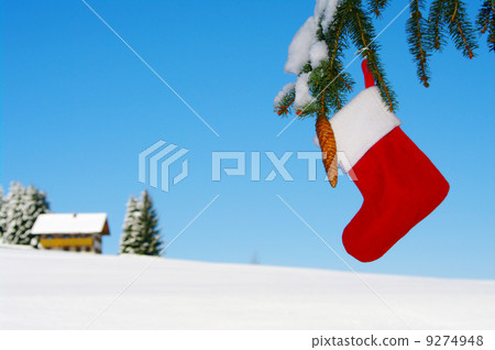 Santa sock hanging from Christmas tree outdoors 9274948