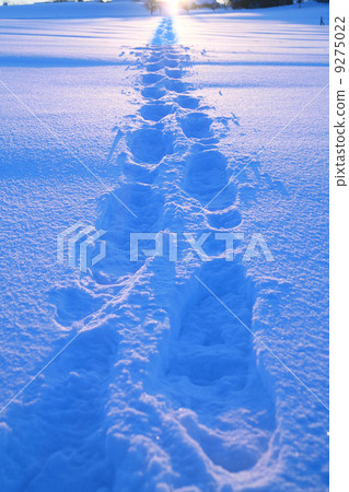 Snowshoes 9275022