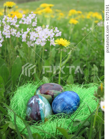 Eggs in a green grass Eggs in a green grass 9275191