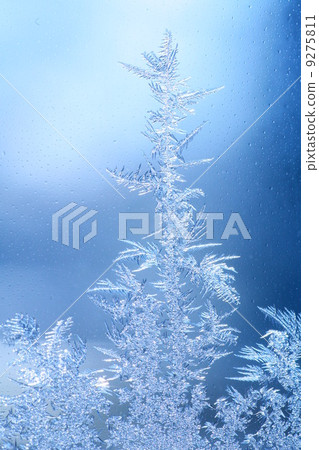 ice frost window macro 9275811
