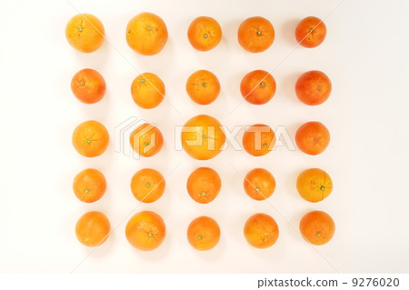 Orange fruit matrix Orange fruit matrix 9276020