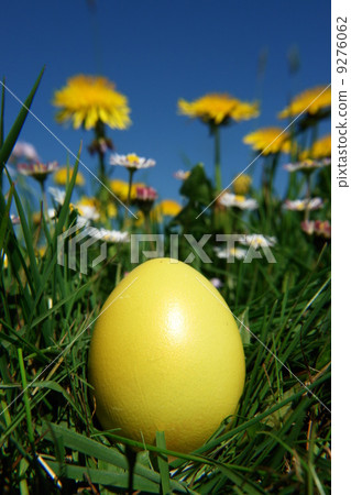 yellow easter egg in spring meadow yellow easter egg in spring meadow 9276062