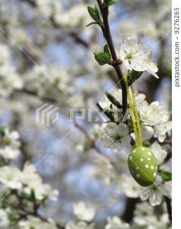 Easter Tree egg Easter Tree egg 9276265