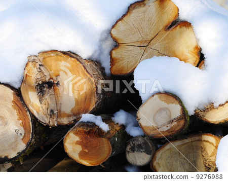 snow wood 9276988
