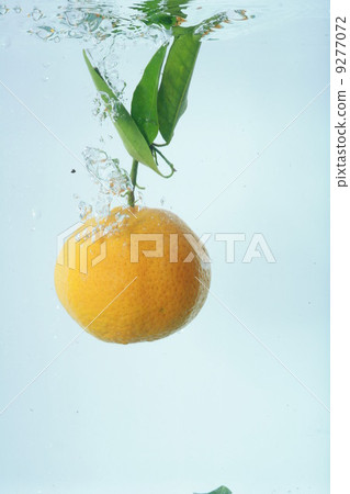 mandarine water splash fresh drop mandarine water splash fresh drop 9277072