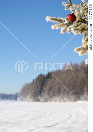 Bauble 9277126