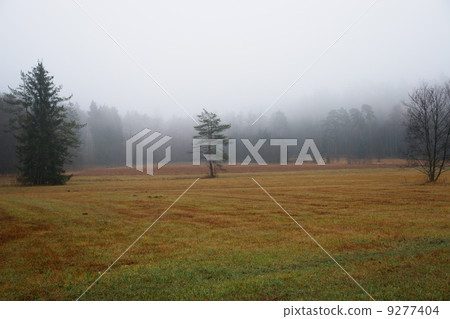 fog landscape fog landscape 9277404