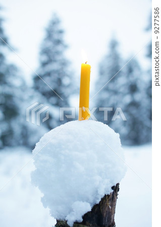 Yellow Candles In Snow 9277586