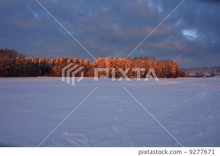 winter winter 9277671