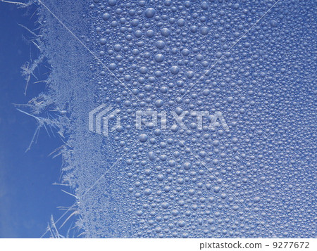 tracery on a frosted window tracery on a frosted window 9277672