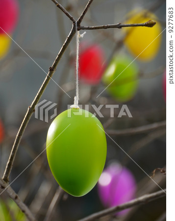 Easter eggs hanging on branches Easter eggs hanging on branches 9277683