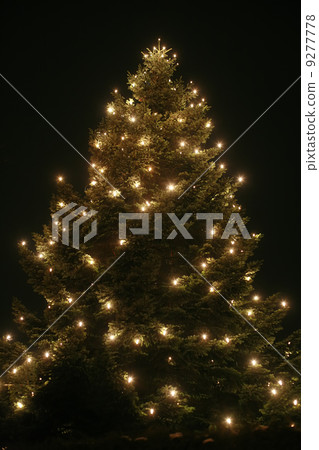 Christmas tree outside with candle lights Christmas tree outside with candle lights 9277778