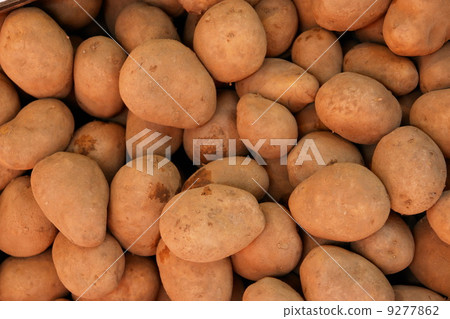 Potatoes Potatoes 9277862