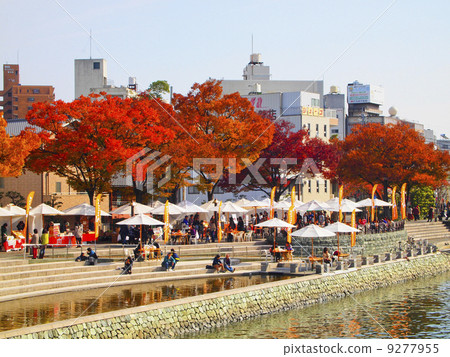 德島馬爾凱會場 德島馬爾凱會場 9277955