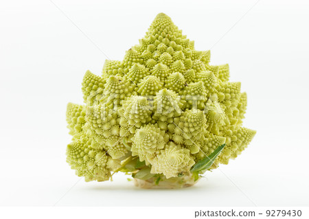 Romanesco broccoli (Brassica oleracea) Romanesco broccoli (Brassica oleracea) 9279430