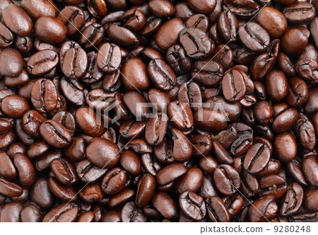 coffee beans coffee beans 9280248