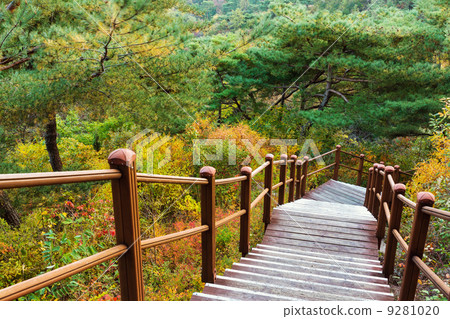 Wooden hiking path to the mountain 9281020